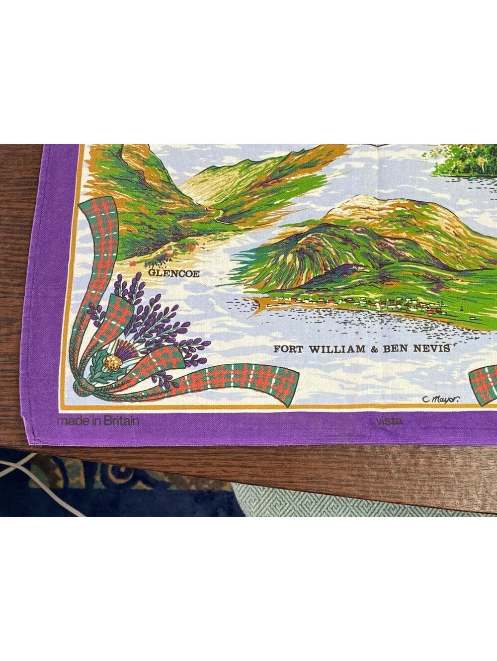 Vintage Causeway Mayor Vista East Coast SCOTLAND Souvenir Towels